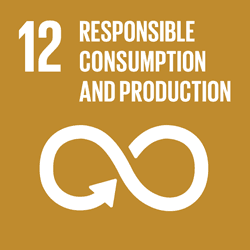 SDGs 12. Responsible consumption and production