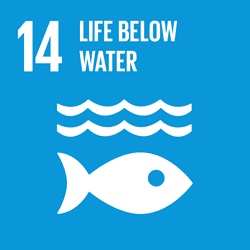 SDGs 14. Life under water