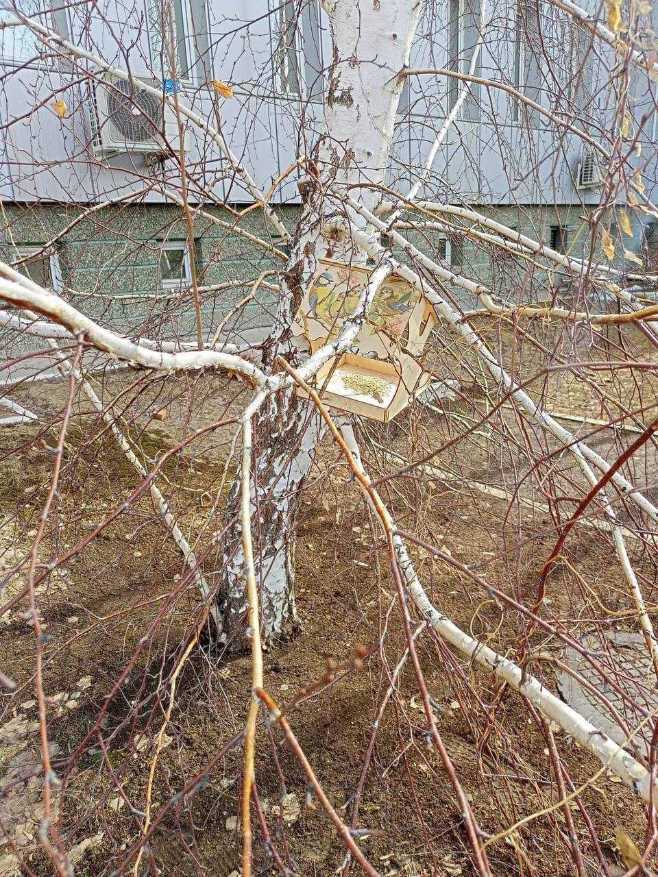 AIU-да «Қоршаған орта үшін жыл құстарының маңызы» тақырыбында дөңгелек үстел өтті — 5