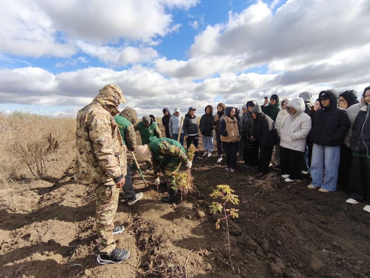 AIU-дың жасыл миссиясы: еріктілермен бірге 2200 ағаш отырғызды! — 3